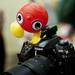 A dog toy sits on top of a camera at Pet Supplies Plus on Saturday Daniel Brenner I AnnArbor.com
